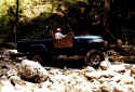 creek_11.jpg (60907 bytes)